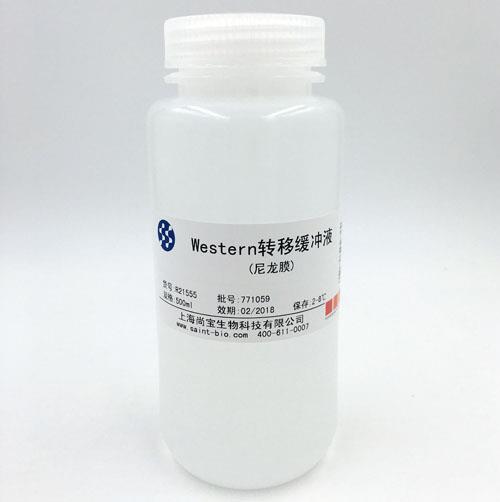Western轉(zhuǎn)移緩沖液