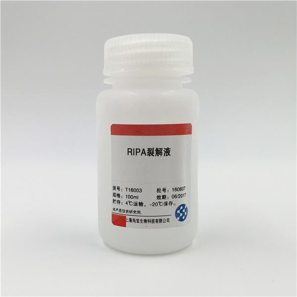 RIPA裂解液