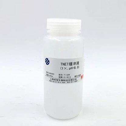 Tris鎂鹽緩沖液（1×，pH=7.8）