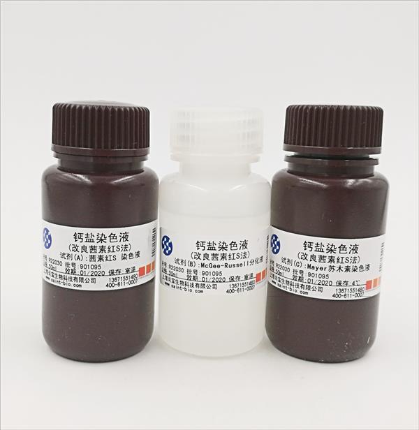 鈣鹽染色液（改良茜素紅S法）