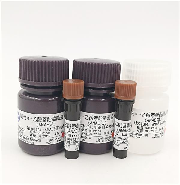 酸性α-乙酸萘酚酯酶染色液(ANAE法）