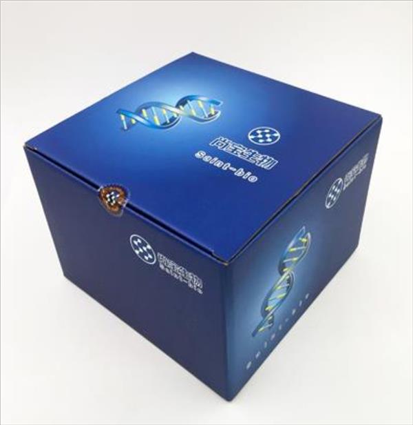 細(xì)胞周期與細(xì)胞凋亡檢測(cè)試劑盒