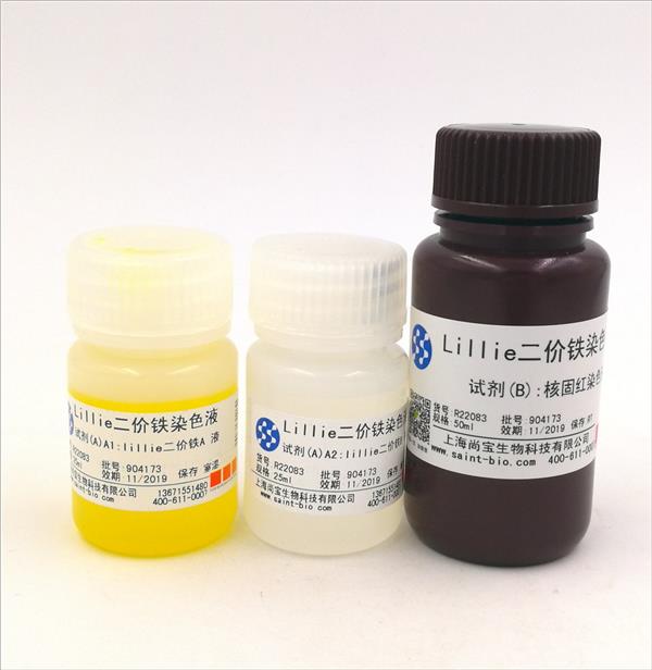 Lillie二價鐵染色液