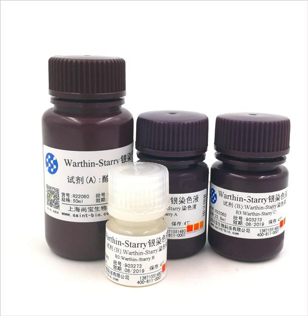 Warthin-Starry銀染色液