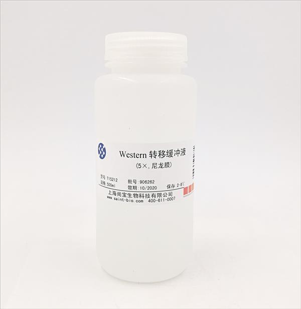 Western轉(zhuǎn)移緩沖液（5×，尼龍膜）