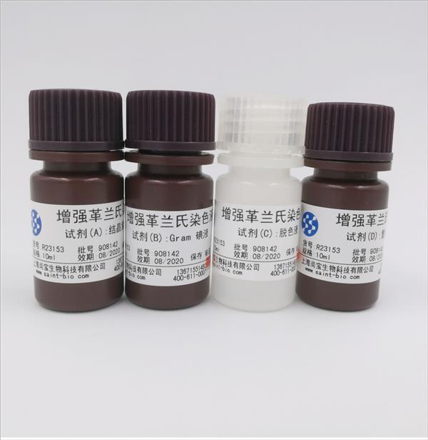 增強革蘭氏染色液